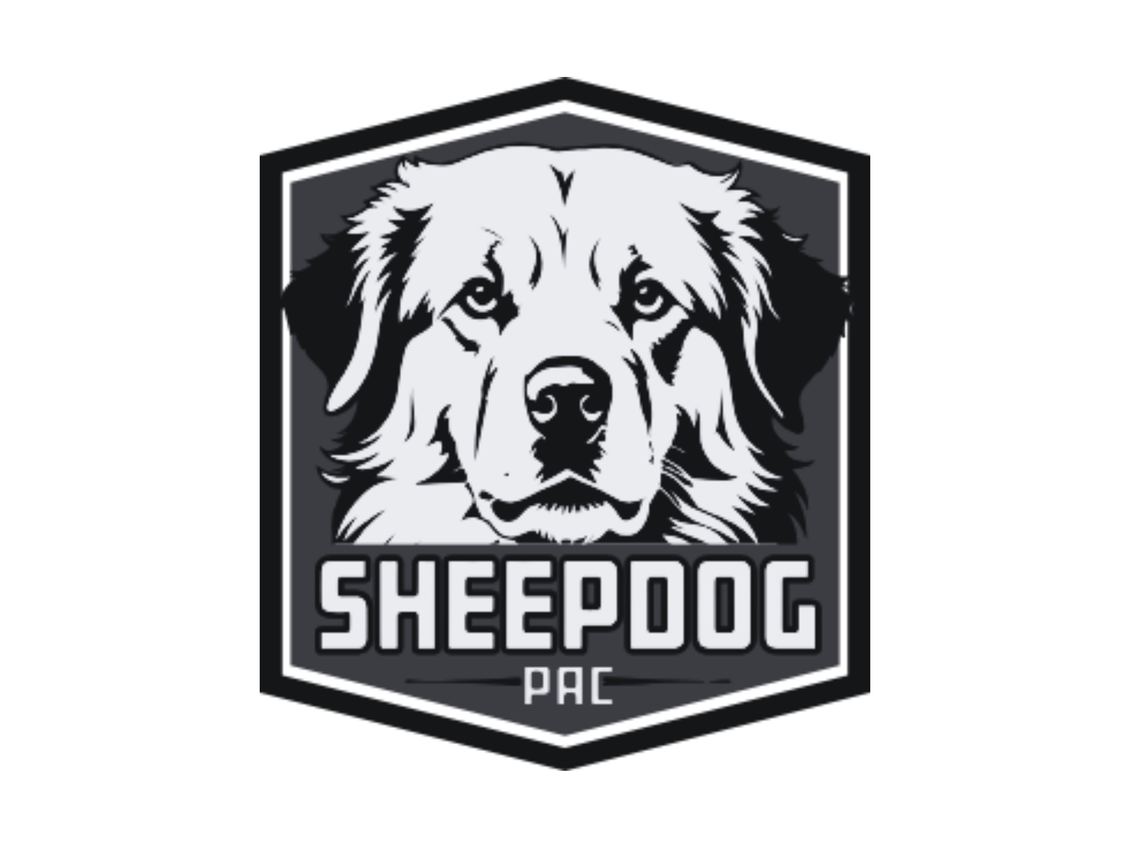 sheepdog